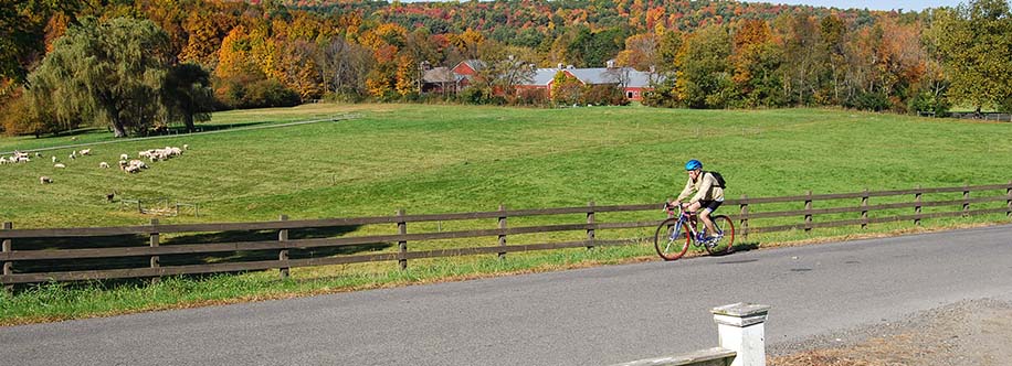 Old Chatham, New York bike rider on country road during fall color